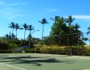 The Shores of Maui